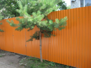Металлический забор из профлиста